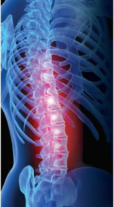 Spine, Low back pain